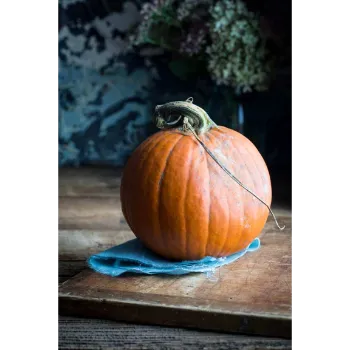 Fresh pumkin (30)-9467754-49357.webp